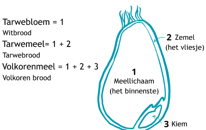Afbeelding met tekst, Lettertype, diagram, schermopname
Door AI gegenereerde inhoud is mogelijk onjuist.